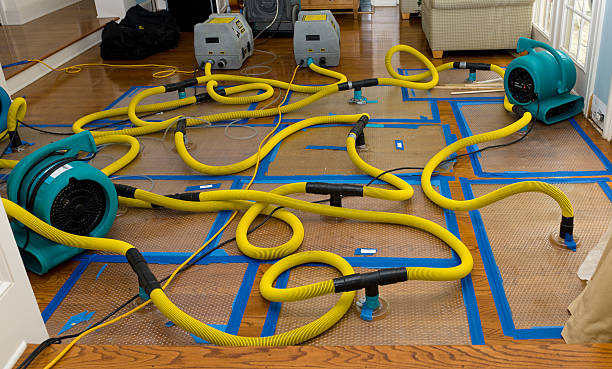 Professional Crawl Space Water Removal technician working in Gordonsville, VA